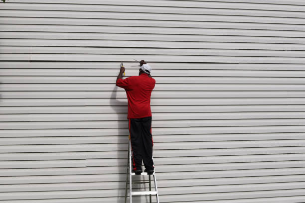 Best Stone Veneer Siding  in Bowling Green, MO